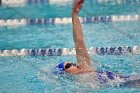 Swimming & Diving vs Babson  Swimming & Diving vs Babson College. - Photo by Keith Nordstrom : Wheaton, Swimming